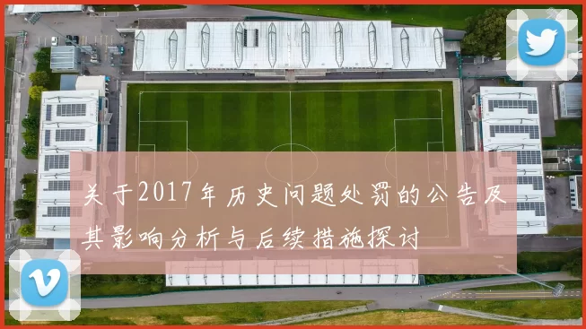 关于2017年历史问题处罚的公告及其影响分析与后续措施探讨