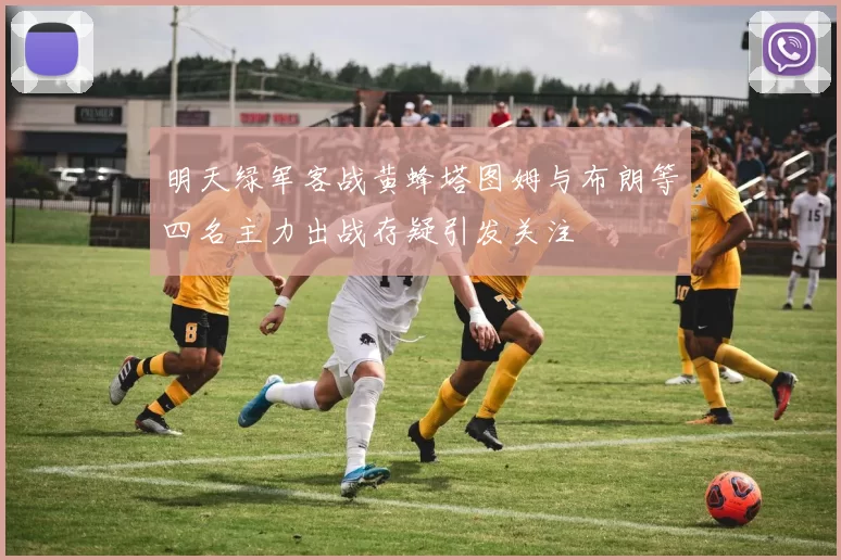 明天绿军客战黄蜂塔图姆与布朗等四名主力出战存疑引发关注